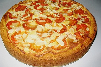 Aprikosenkuchen mit Mandelguss 9