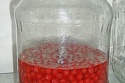 Johannisbeerlik&ouml;r