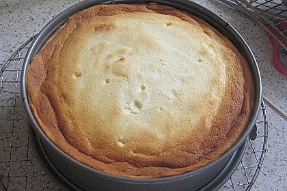 Käsekuchen mit 2 Schichten 117