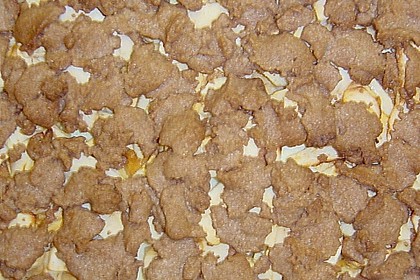 Apfel - Zupfkuchen 1
