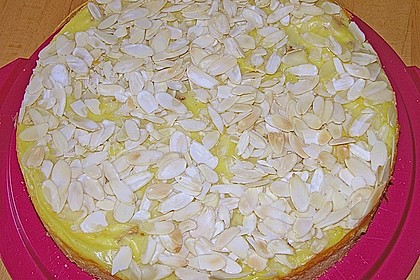 Apfelkuchen mit Puddingguss 12