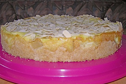 Apfelkuchen mit Puddingguss 8
