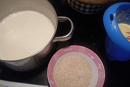Grießpudding 52