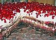 Johannisbeerkuchen mit Bananen