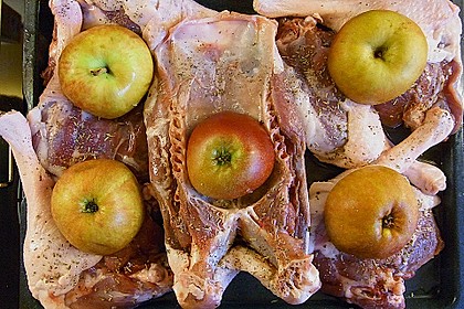 Gänsebraten 25