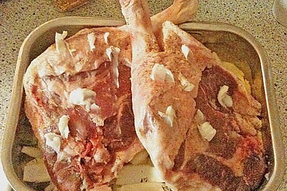 Gänsebraten 28