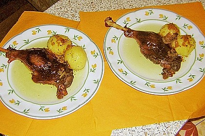 Gänsebraten 18