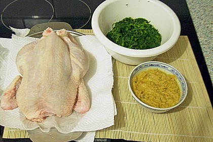 Javanesisches Gew&uuml;rzhuhn