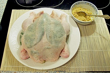Javanesisches Gew&uuml;rzhuhn 1