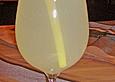 Gin Fizz