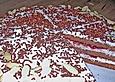 Fr&uuml;hlingstorte  oder Torte f&uuml;r ganz eilige