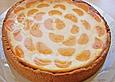 K&auml;sekuchen mit Mandarinen