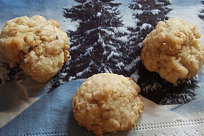 Haferflockenpl&auml;tzchen