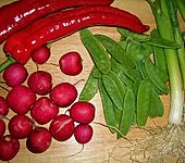 Scharlys Fitness - Salat II (Bild)