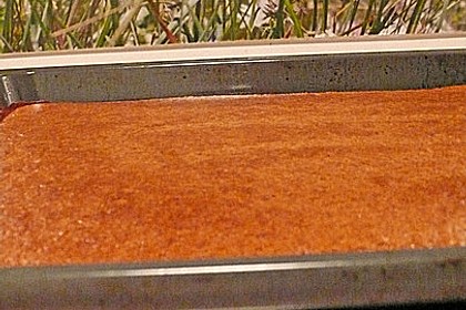 Lebkuchen vom Blech 54