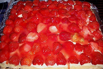 Bäckermeister - Biskuitboden 41