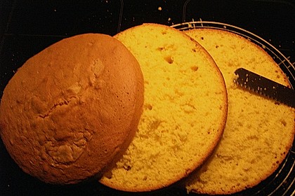 Bäckermeister - Biskuitboden 42