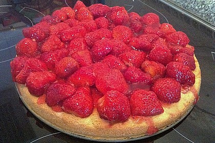 Bäckermeister - Biskuitboden 90