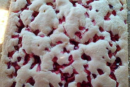 Bäckermeister - Biskuitboden 85