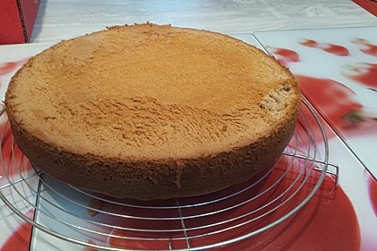 Bäckermeister - Biskuitboden 54