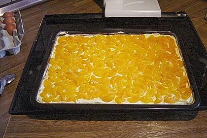 Mandarinen - Schmandkuchen vom Blech 1