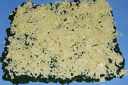 Lachsrolle mit Spinat und Frischkäse 149