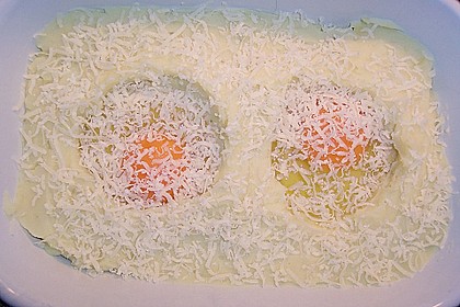 Eier im Nest