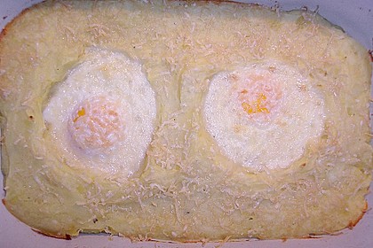 Eier im Nest 1
