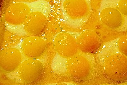 Spiegeleikuchen 11