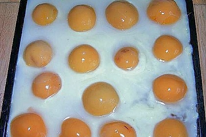 Spiegeleikuchen 10