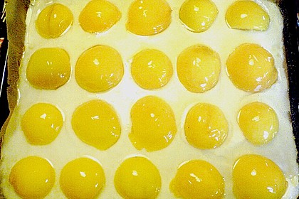 Spiegeleikuchen 9