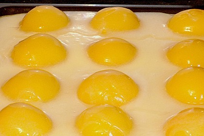 Spiegeleikuchen 5