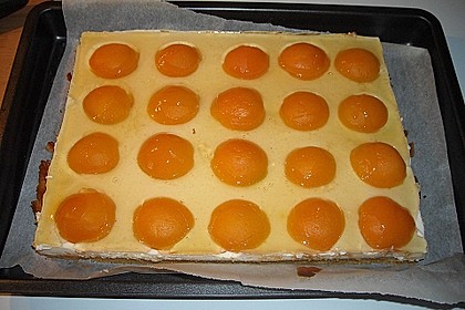 Spiegeleikuchen 4