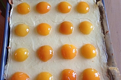 Spiegeleikuchen 6