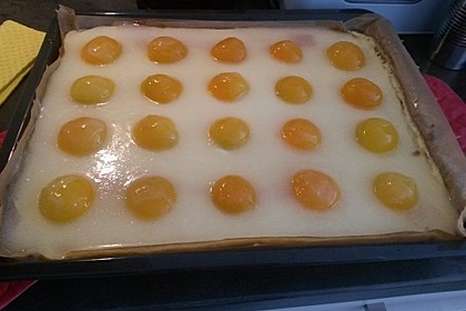 Spiegeleikuchen 7