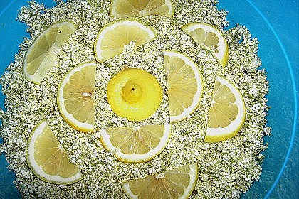 Holunderbl&uuml;tensirup 2