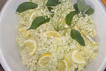 Holunderbl&uuml;tensirup 3