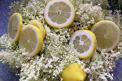 Holunderbl&uuml;tensirup