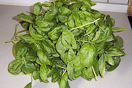 Basilikumpesto 31