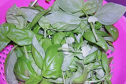 Basilikumpesto 33
