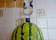 Wodka - Melone