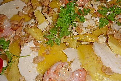 Mango mit Mozzarella 16