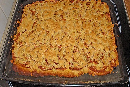 Pudding-Streusel-Kuchen 109