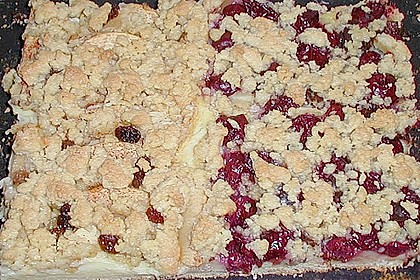 Pudding-Streusel-Kuchen 92