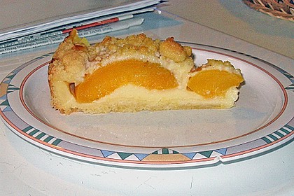 Pudding-Streusel-Kuchen 19