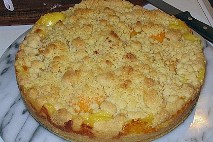 Pudding-Streusel-Kuchen 22