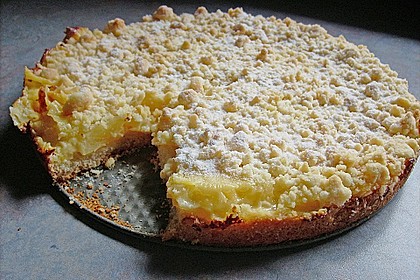 Pudding-Streusel-Kuchen 81