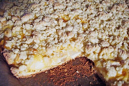 Pudding-Streusel-Kuchen 144