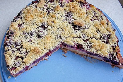 Pudding-Streusel-Kuchen 58