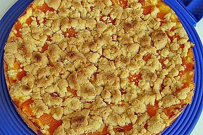Pudding-Streusel-Kuchen 43